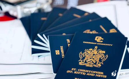 投资移民拿护照