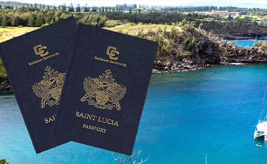 移民圣卢西亚护照1