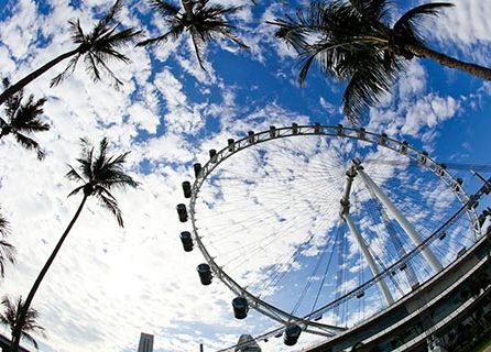 W先生新加坡PIC项目一个半月获批新加坡EP