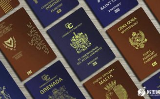 法案护照和灰色护照有何区别，为何要选择法案护照