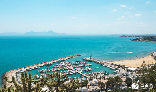 塞浦路斯移民2