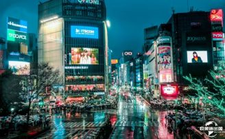 如何申请加拿大联邦技术移民——分步说明