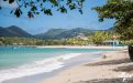 2024年加勒比圣卢西亚护照：终极指南