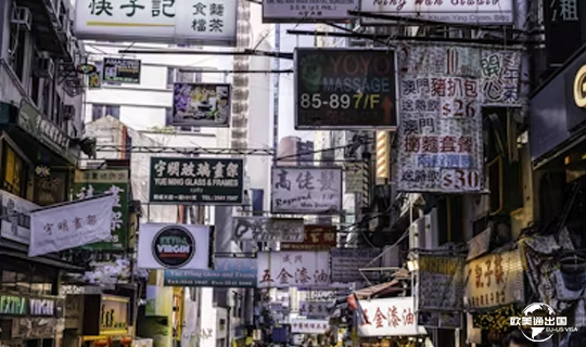 香港高才计划