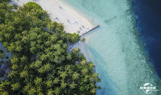持F1学生签证在美国工作的5种合法方式,如何留美国最快?