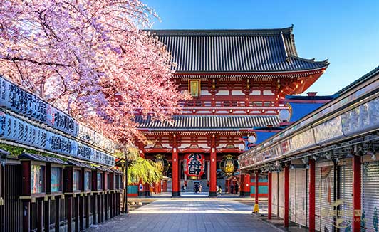 日本高度人才签证