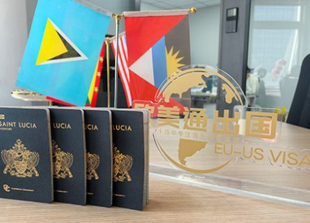 恭喜L先生2025开年全家获批圣卢西亚护照