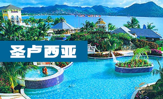 圣卢西亚移民申请人要求