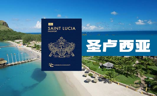 圣卢西亚移民申请人要求