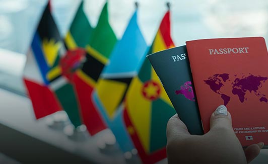 护照移民五大中介权威排名