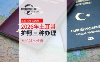 2026年土耳其护照三种办理方式对比分析