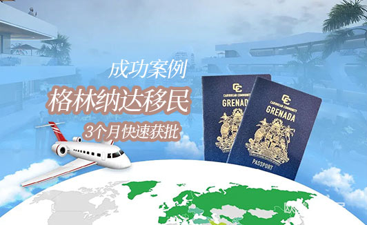 2026年格林纳达移民成功案例
