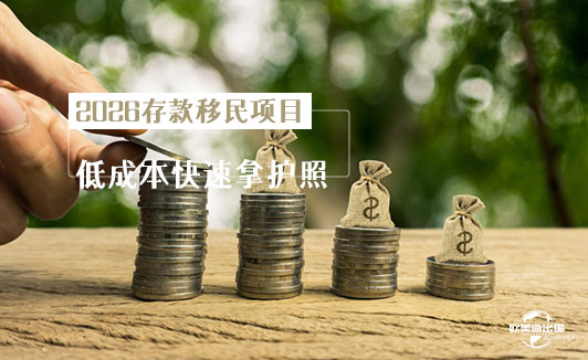 2026存款移民