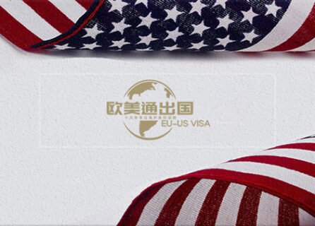 美国E2签证移民客户王先生案例：多方对比后选择欧美通移民的决策之路