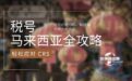 大陆人办理马来西亚税号全攻略：轻松应对 CRS，解锁海外开户新方式