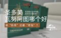 圣多美护照和瓦努阿图护照哪个好？是“新秀”还是“老钱”？