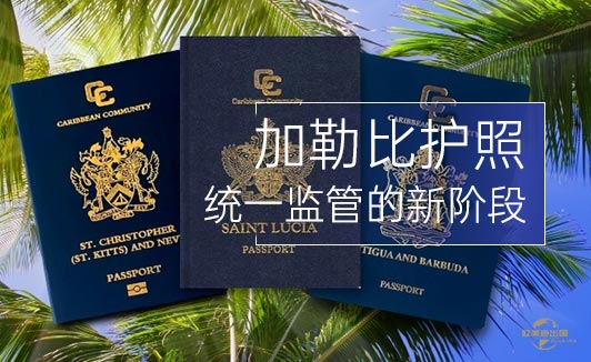都说小国护照要凉了, 我反而觉得是机会来了